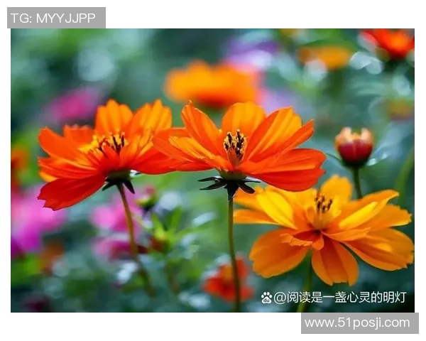 用心雕琢每一个精彩瞬间让生活绽放无限可能与美好