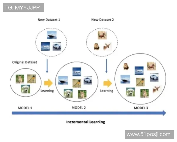 耀世娱乐小样本学习框架的创新应用与发展前景探讨